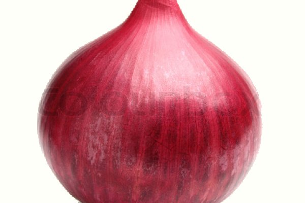 Gidra магазин