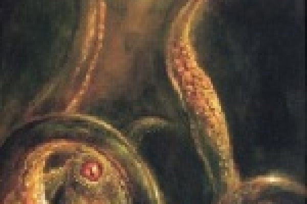 Кракен тор krakens13 at