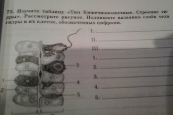 Кракен не работает