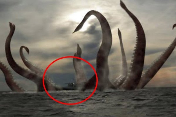 Kraken at зеркало