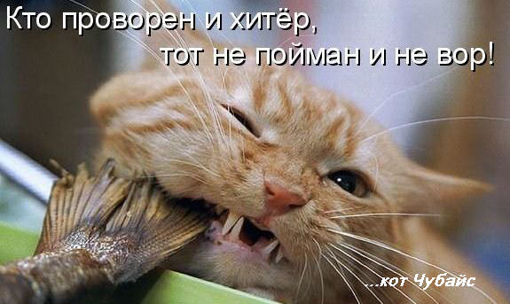 Как восстановить аккаунт в кракен
